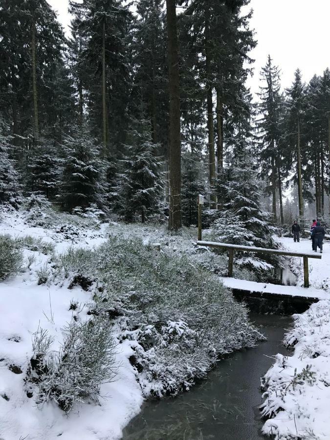 Hahnenklee Ferienpark 7-511 Goslar Luaran gambar