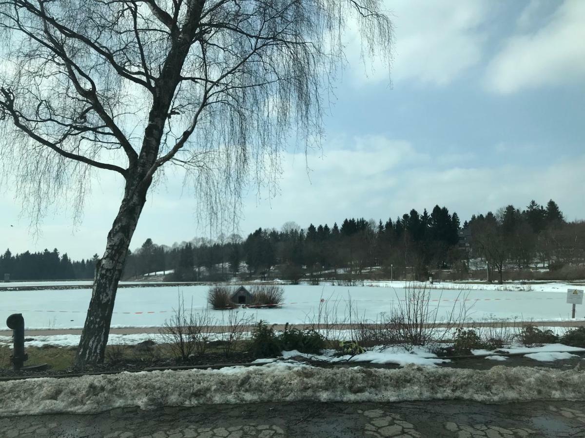 Hahnenklee Ferienpark 7-511 Goslar Luaran gambar