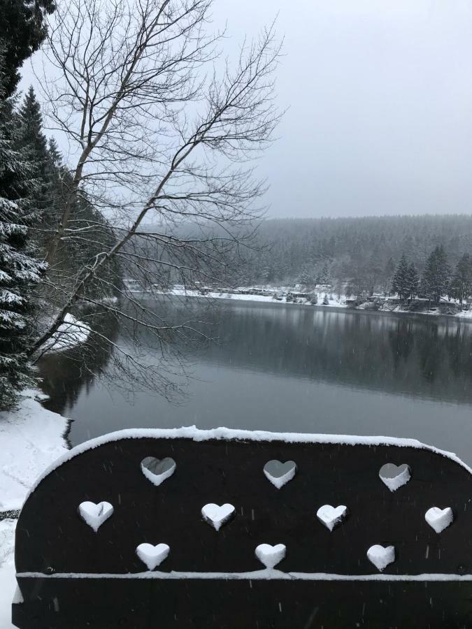 Hahnenklee Ferienpark 7-511 Goslar Luaran gambar