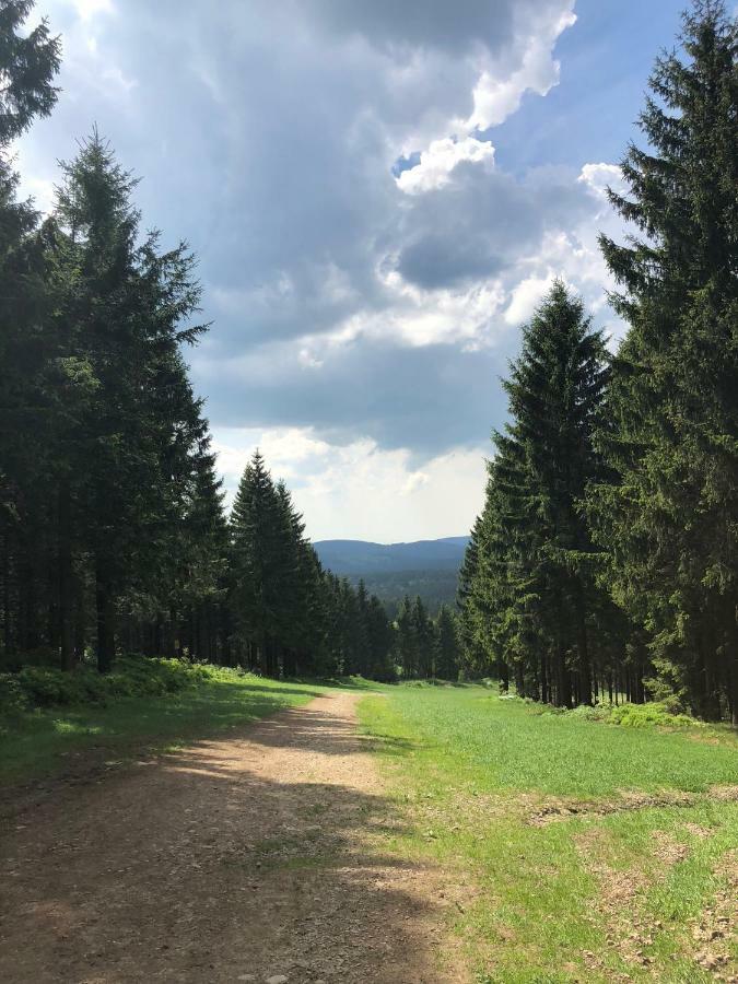 Hahnenklee Ferienpark 7-511 Goslar Luaran gambar