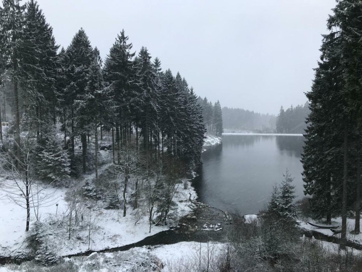 Hahnenklee Ferienpark 7-511 Goslar Luaran gambar