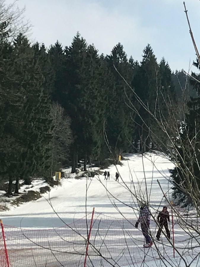 Hahnenklee Ferienpark 7-511 Goslar Luaran gambar